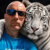 WhiteTiger